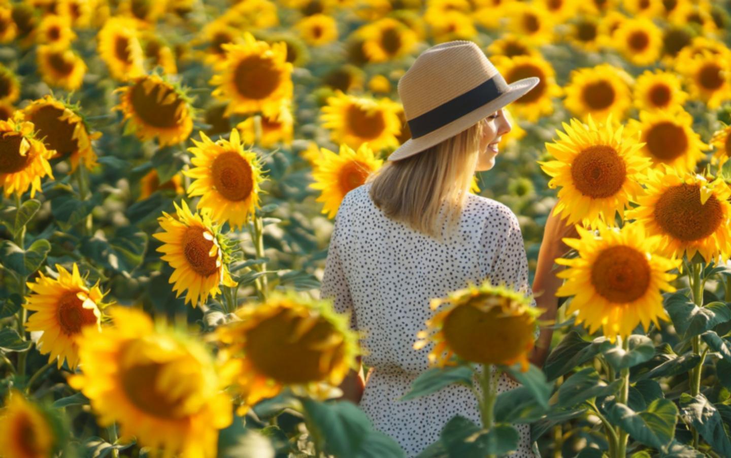 Професійне навчання стилістики